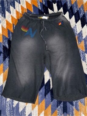 Aviator Nation Sweat Shorts Long Faded Grey Graphic New NWT Medium